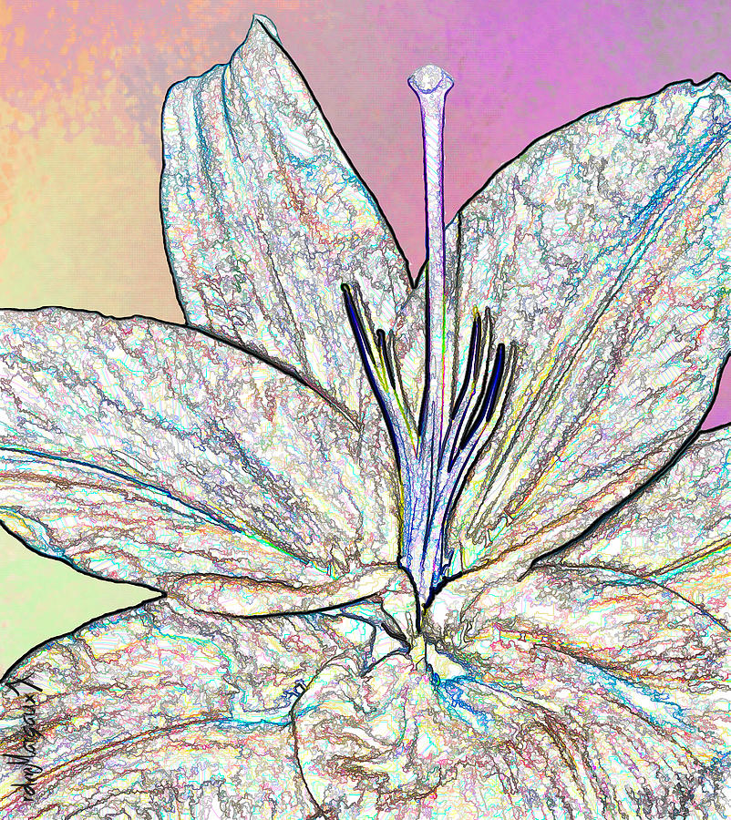 Color In Lines White Lily Photograph By Margaux Dreamaginations