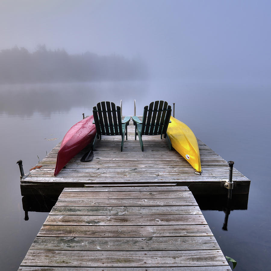 Color in the Fog Photograph by David Patterson