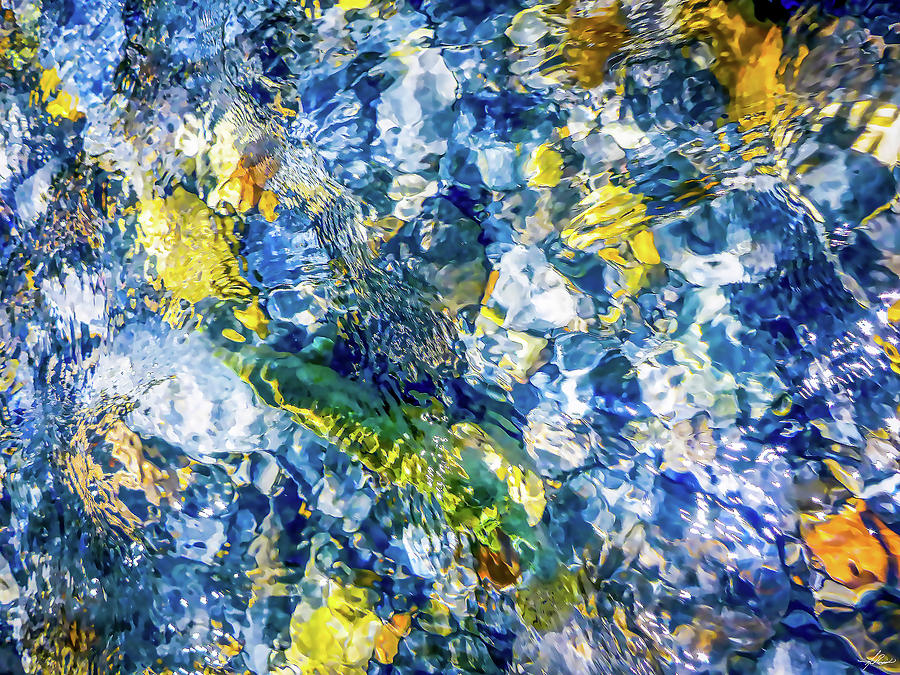 Water Photograph - Color in the Gravel by Phil And Karen Rispin