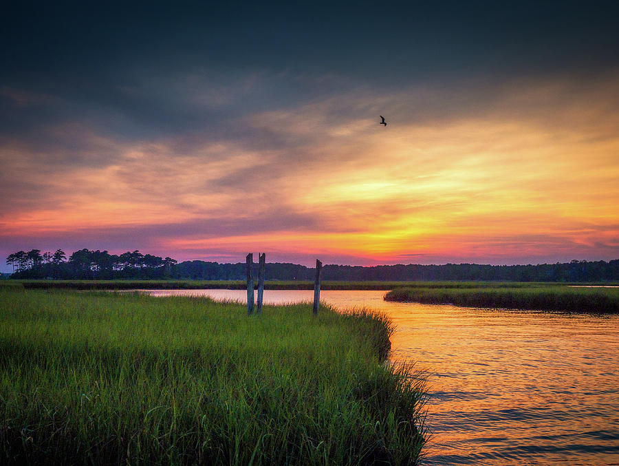 Color in the Marsh Photograph by Michael Tigue - Fine Art America