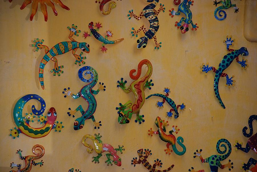 Color Lizards On The Wall Photograph by Rob Hans