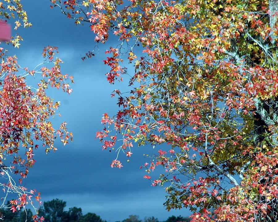 Fall Photograph - Color Me Beautiful by Lynn Reid