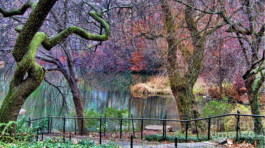 Color of Central Park  Photograph by Chuck Kuhn