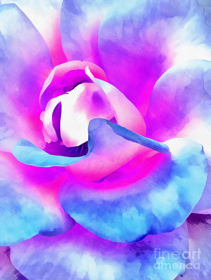 Color Of Charisma Photograph by Krissy Katsimbras Pixels