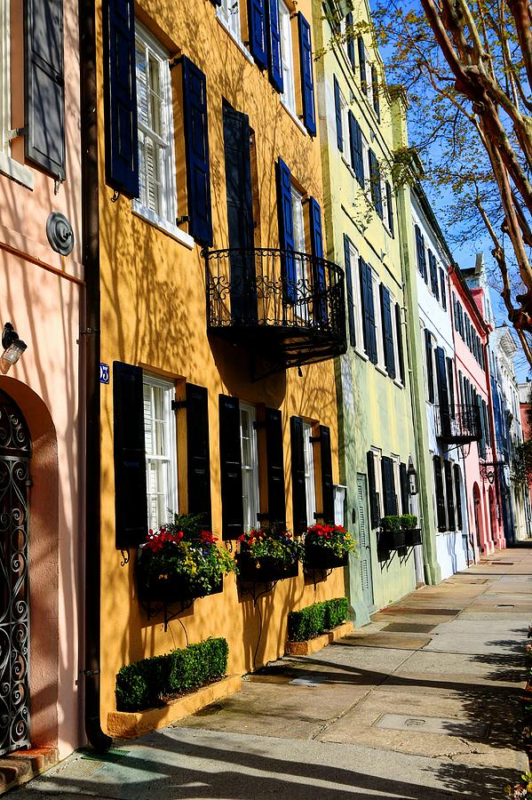 Color Of Charleston Photograph by Carol Montoya