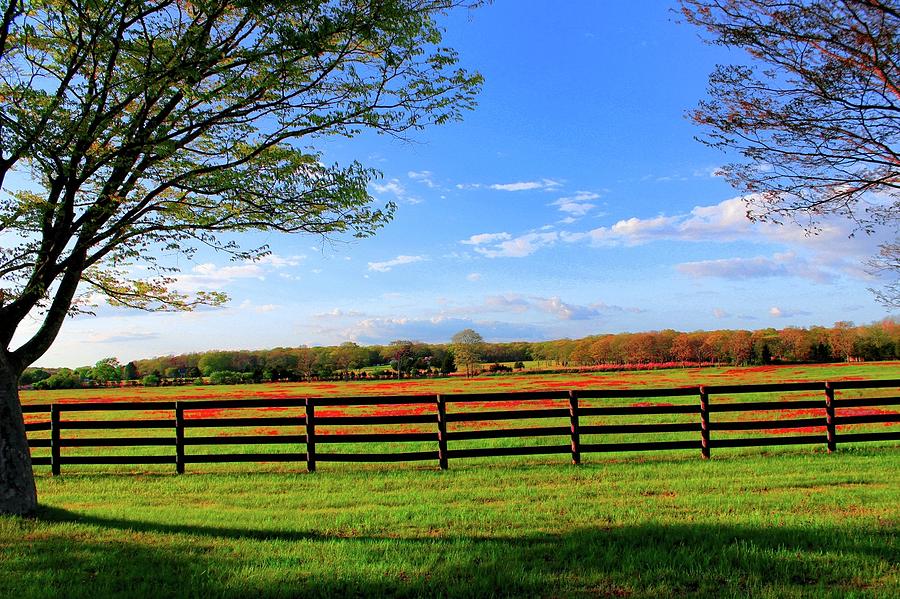 Color Of The Land Photograph by Katie Culkin - Fine Art America