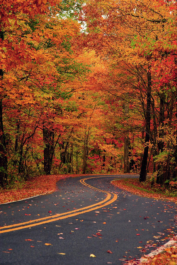 Color on Cedar Mountain V Photograph by Stacy Redmon