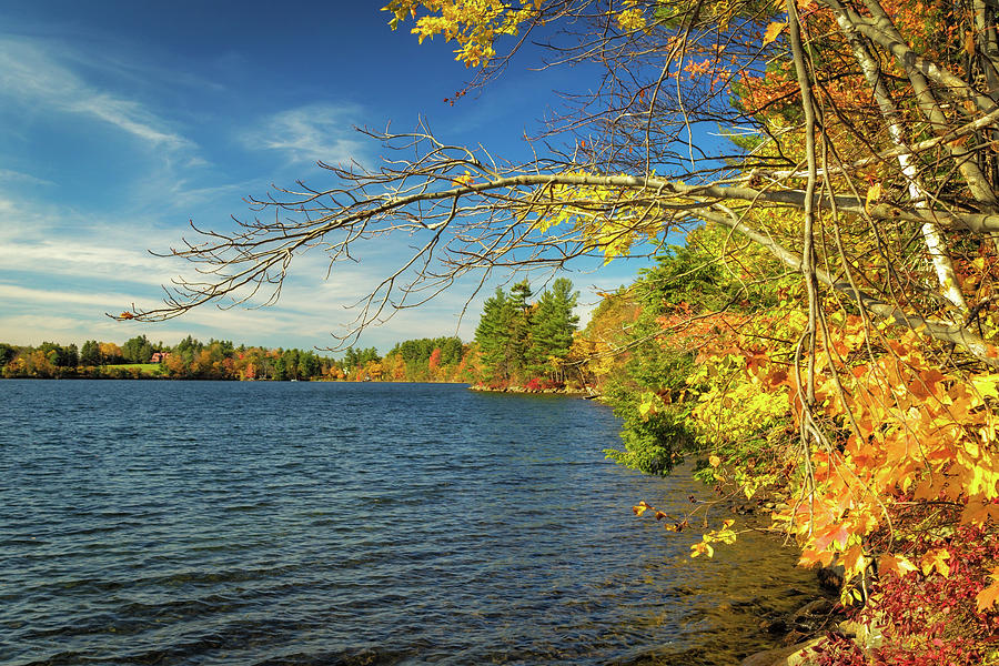Color on Cunningham Pond Photograph by Mike Mcquade