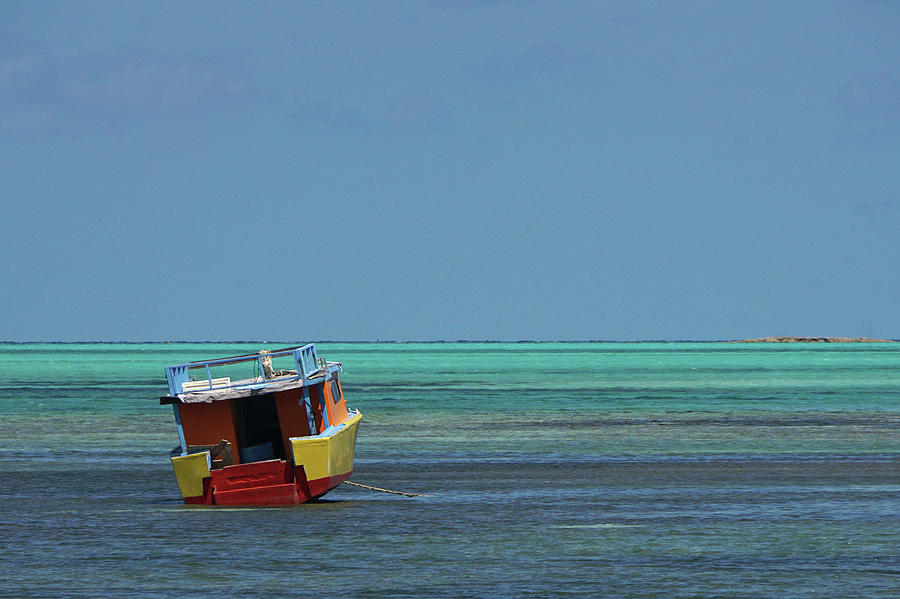 Color on the Caribbean Photograph by Brandy Herren