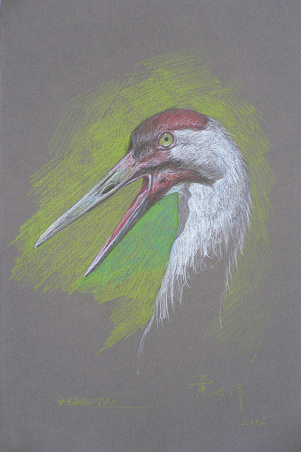 Color pencil painting - Egret #1845 Drawing by Hongtao Huang