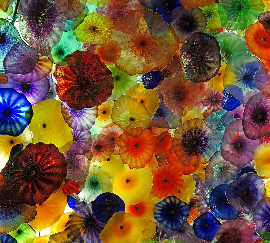 Color Pop Photograph by Ann Keisling Color Pop Photograph by Ann Keisling