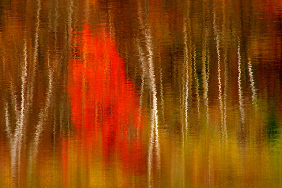 Color Reflections Photograph by Denise Bush