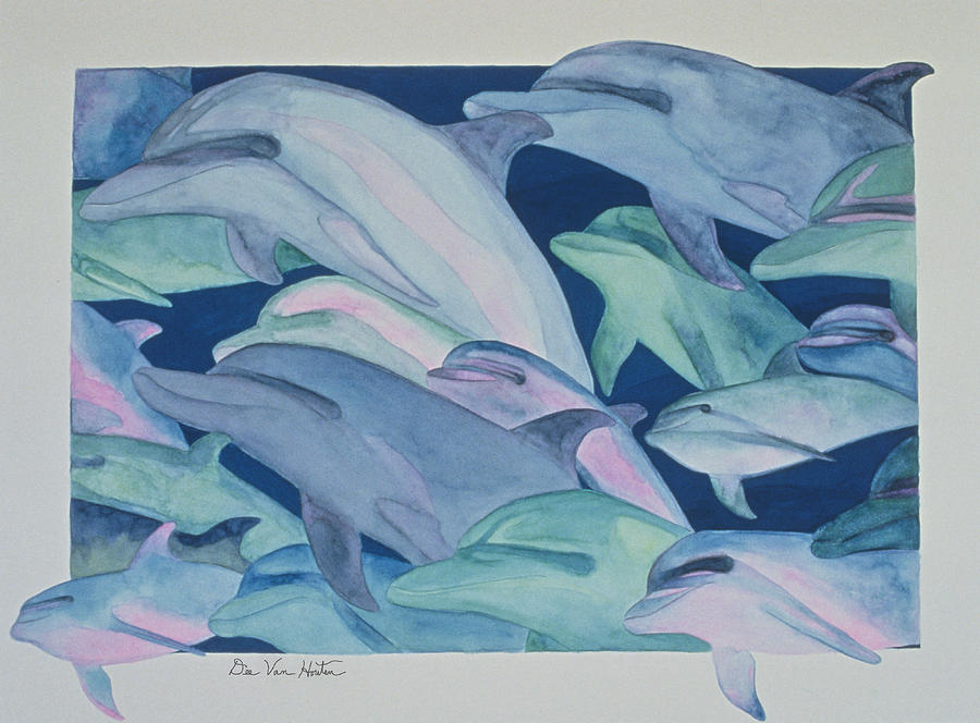 Dolphin Color Rhythms by Dee Van Houten Dolphin Color Rhythms by Dee Van Houten