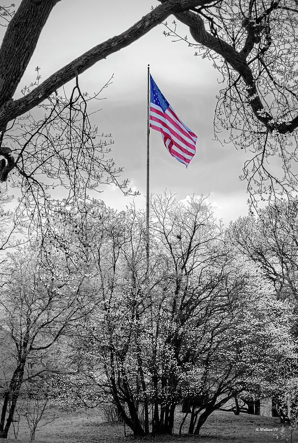 Color Select US Flag Photograph by Brian Wallace