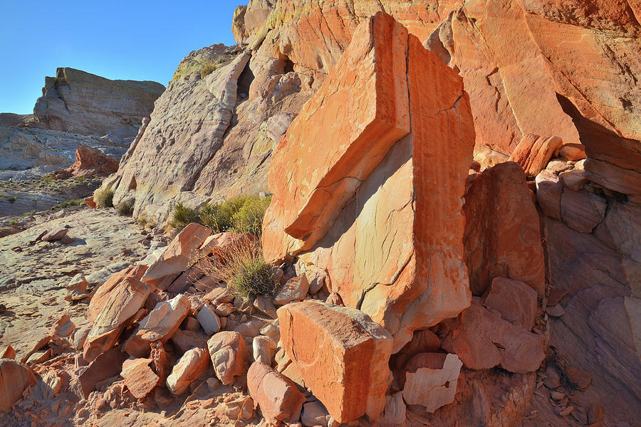 Color Slabs in Wash 5 of Valley of Fire Photograph by Ray Mathis