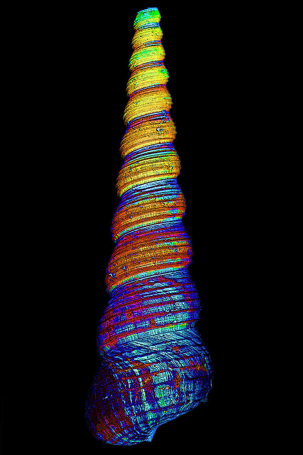 Color Spiral Digital Art by David Stasiak