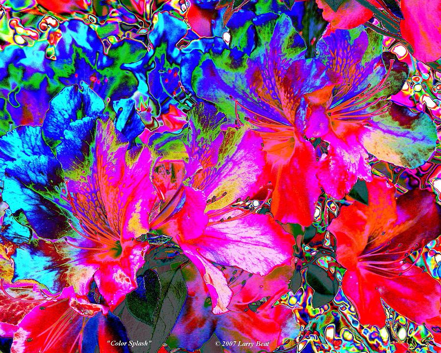 Color Splash Digital Art by Larry Beat