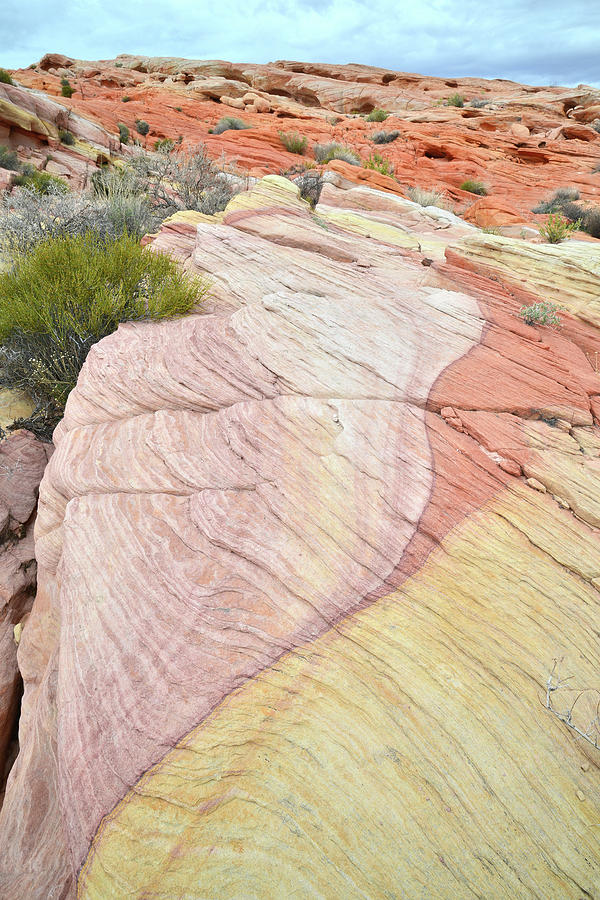 Color Swirl in Valley of Fire State Park Photograph by Ray Mathis