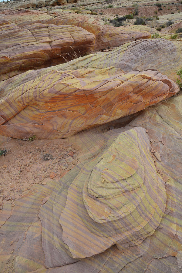 Color Swirling in Sandstone in Valley of Fire Photograph by Ray Mathis