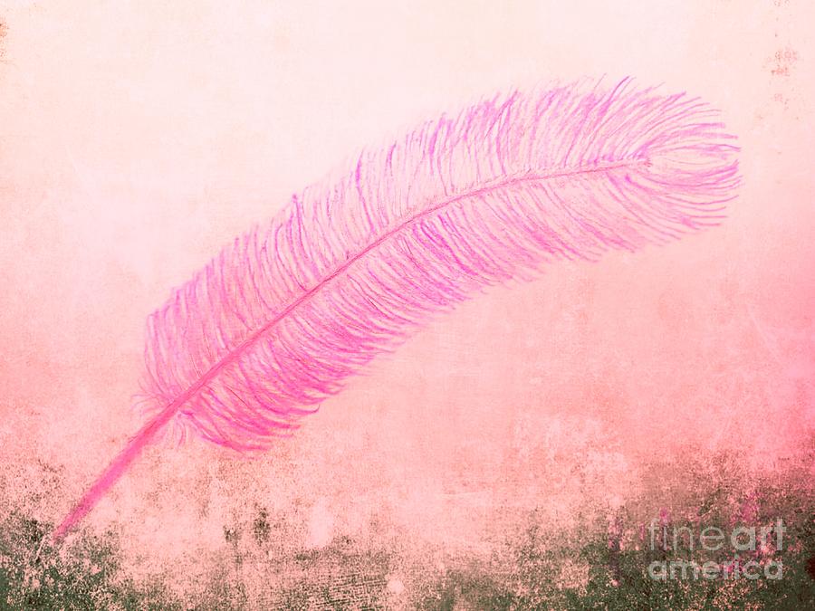 Color Trend Feather In The Wind Drawing by Rachel Hannah