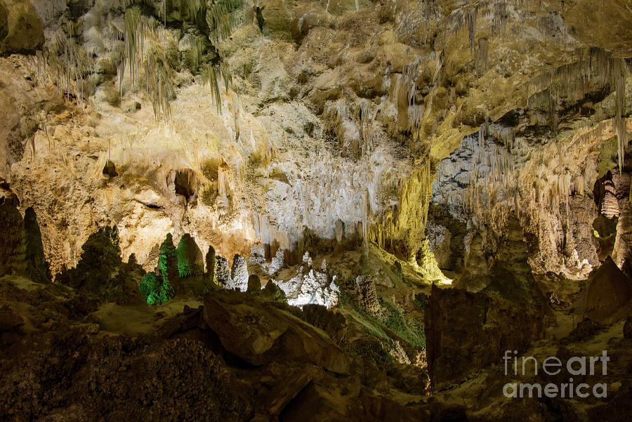 Carlsbad Caverns National Park Photograph - Color Variety by Bob Phillips