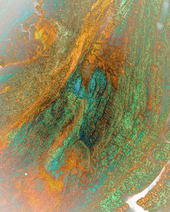 Color Vein Bark Abstract Photograph by Bruce Pritchett