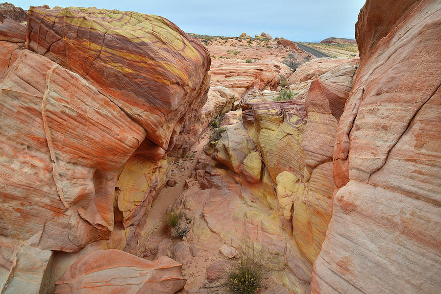 Color Walk in Valley of Fire State Park Photograph by Ray Mathis