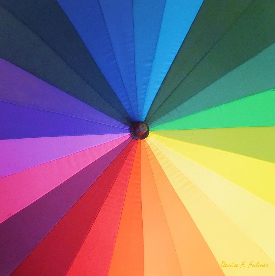 Color Wheel Photograph by Denise F Fulmer