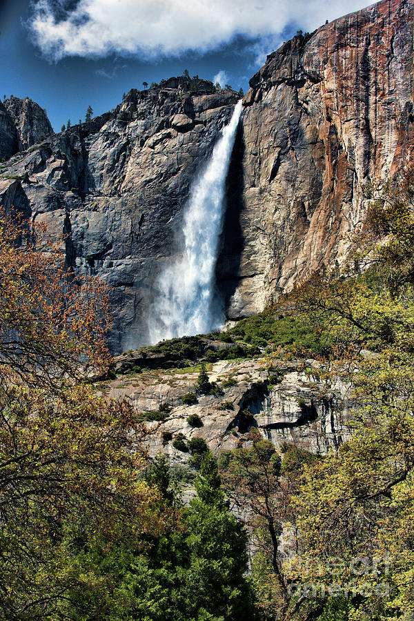 Color Yosemite California Falls  Photograph by Chuck Kuhn