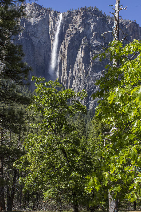 Color Yosemite Waterfall  Photograph by John McGraw