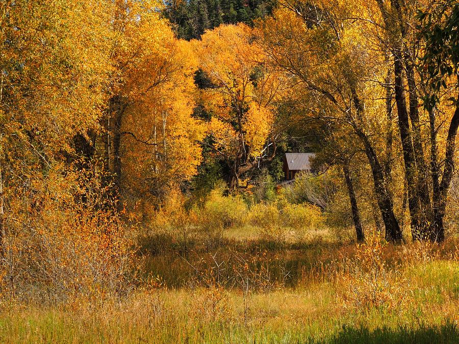 Colorado Color Photograph by Charlotte Schafer