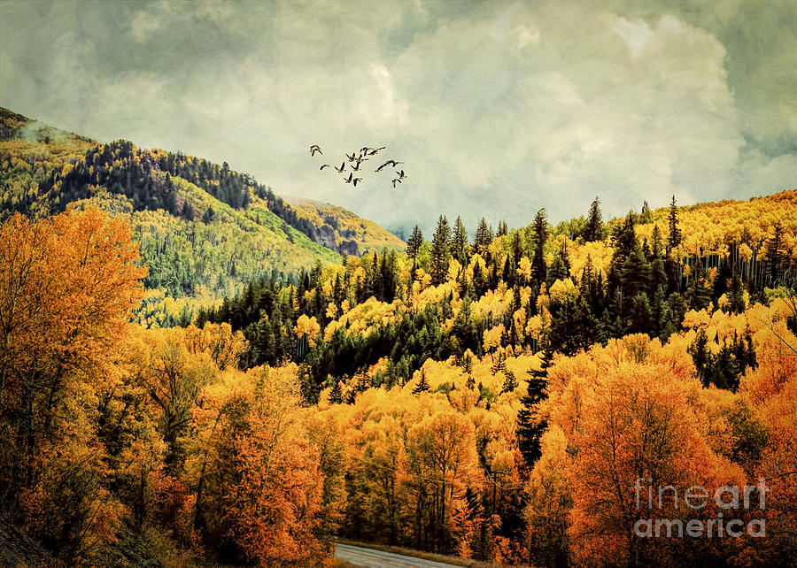 Fall Painting - Colorado Autumn and Migration by Janice Pariza