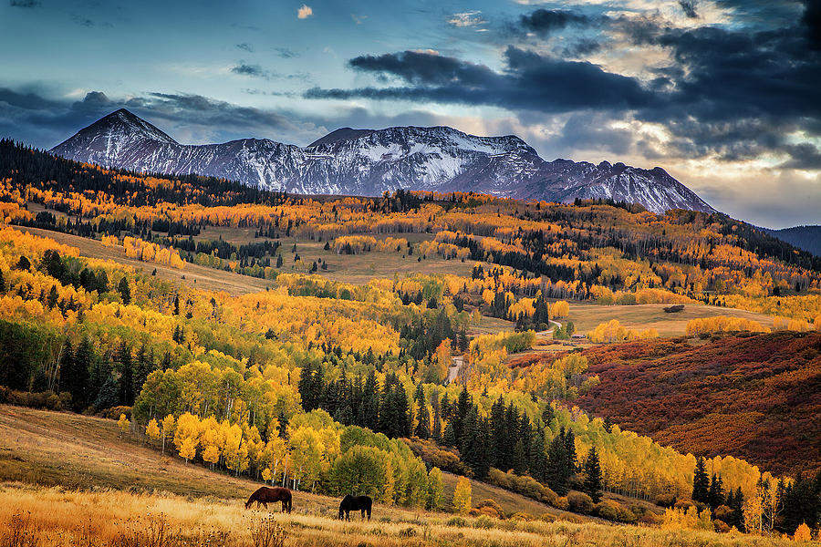 Colorado Autumn Photograph by Andrew Soundarajan