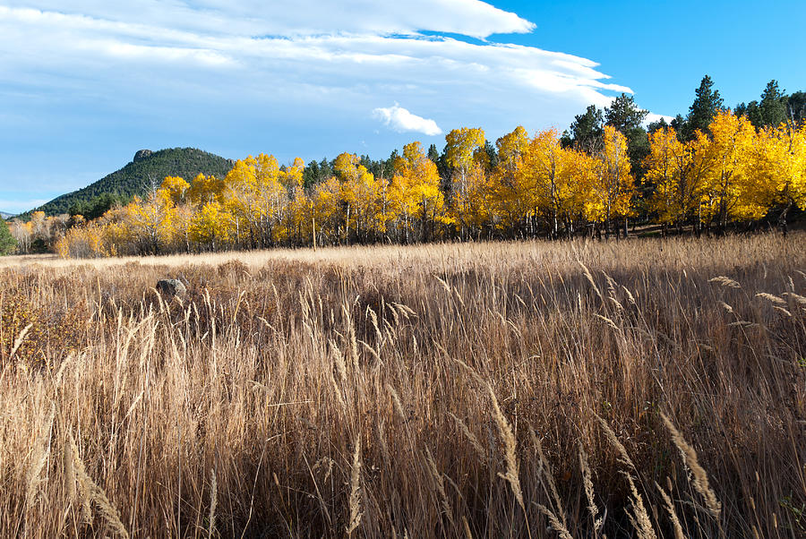 Colorado Autumn Meadow Grasses and Mountain Scene Photograph by Cascade Colors