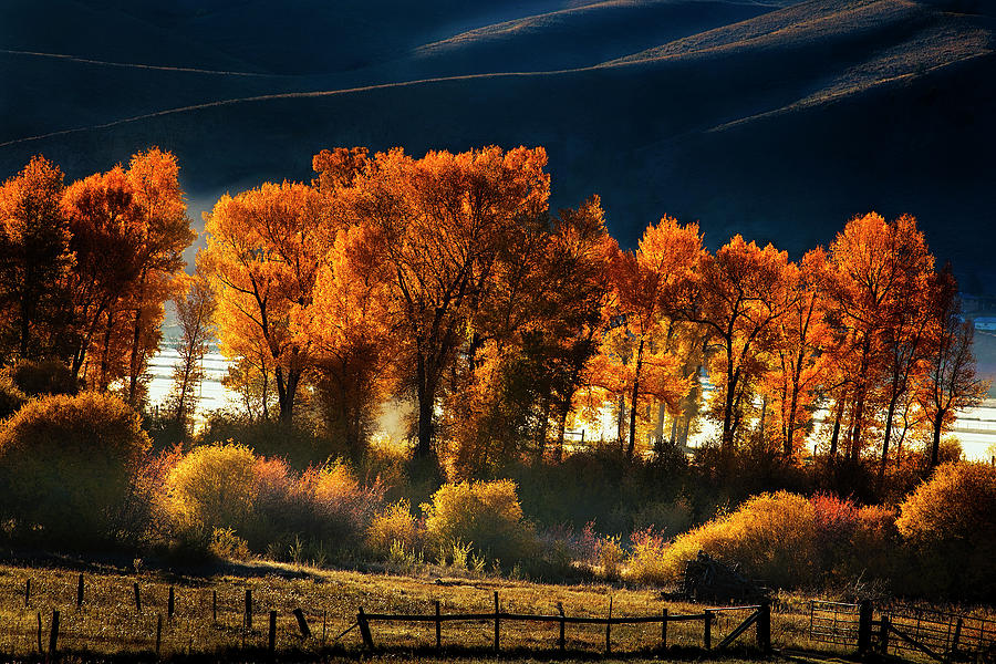 Colorado Autumn Morning Photograph