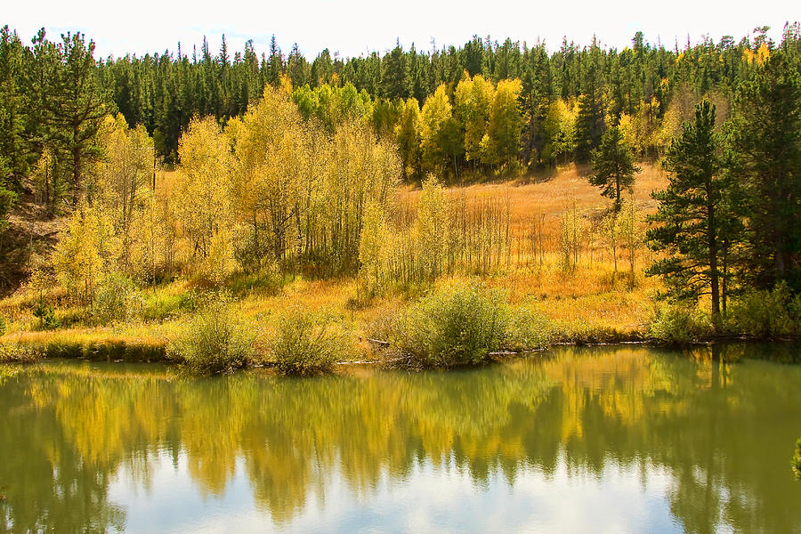 Colorado Autumn Reflections Photograph by James BO Insogna