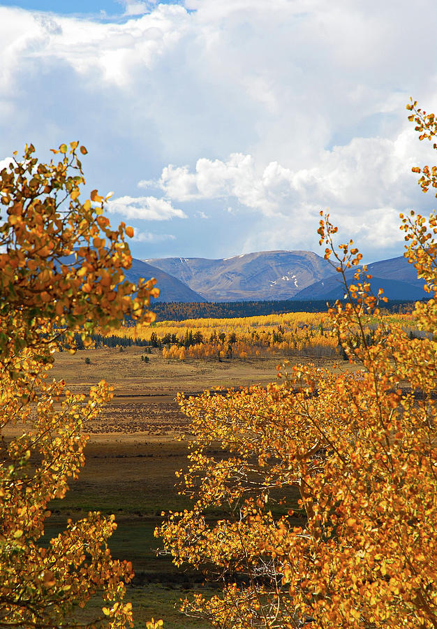 Colorado Autumn Photograph by Robert Meyers-Lussier