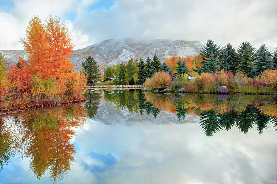 Colorado Autumn Splendor - Aspen Photograph by Gregory Ballos - Fine ...
