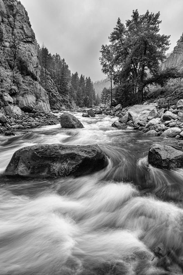 Nature Photograph - Colorado Black and White Canyon Portrait by James BO Insogna