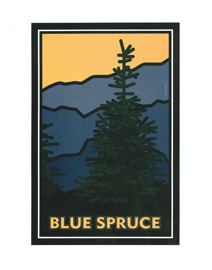 Colorado Blue Spruce Painting by Carrie MaKenna