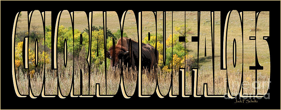 Colorado Buffaloes Name  9236 Photograph by Jack Schultz
