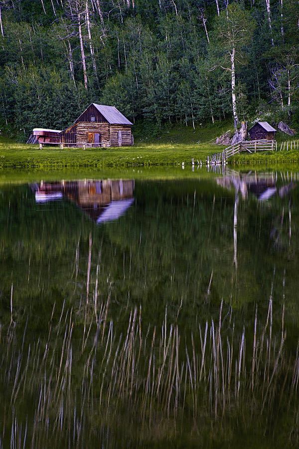 Colorado Cabin Lake Reflections vertical Photograph by Dave Dilli