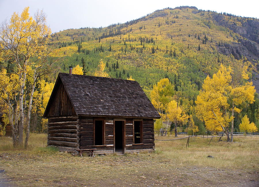 Colorado Cabin Photograph by Marty Koch