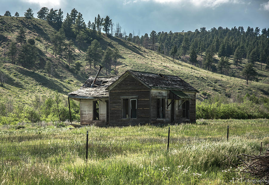 Colorado Cabin Photograph by Wendy Carrington