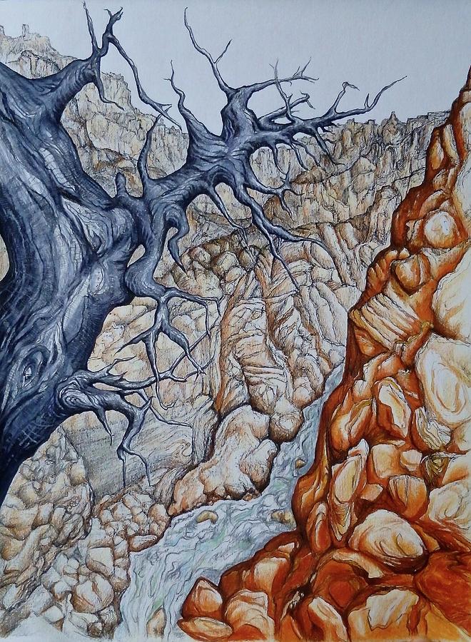 Colorado Canyon Drawing by Leizel Grant
