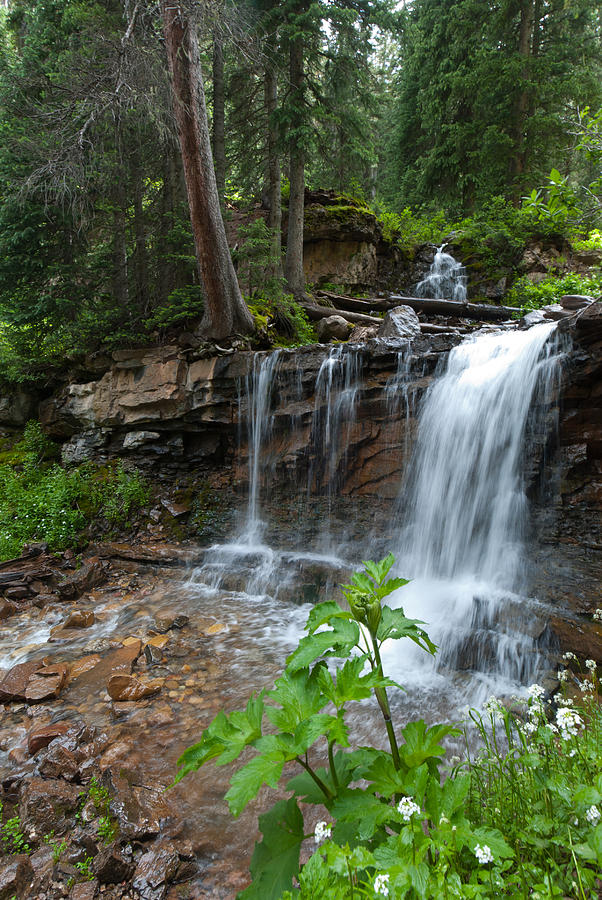 Colorado Cascading Stream And Waterfall Photograph