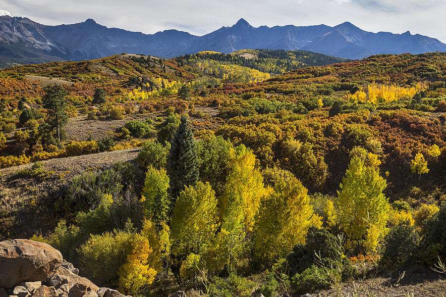 Colorado Color Photograph by James BO Insogna