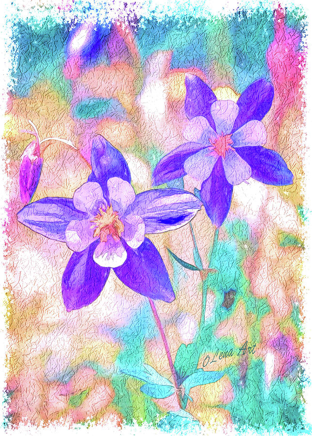 Colorado Columbine Flower Painting by Lena Owens - OLena Art Vibrant Palette Knife and Graphic Design
