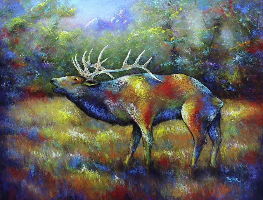 Colorado Elk Pastel by Patricia Lintner
