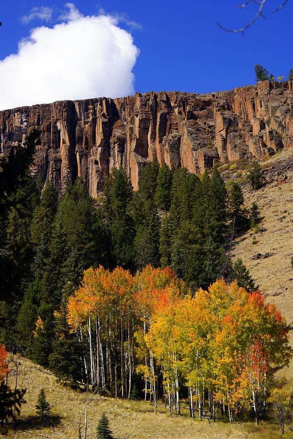 Colorado Fall 4 Photograph by Marty Koch